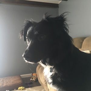 Meet your Posher, Justin